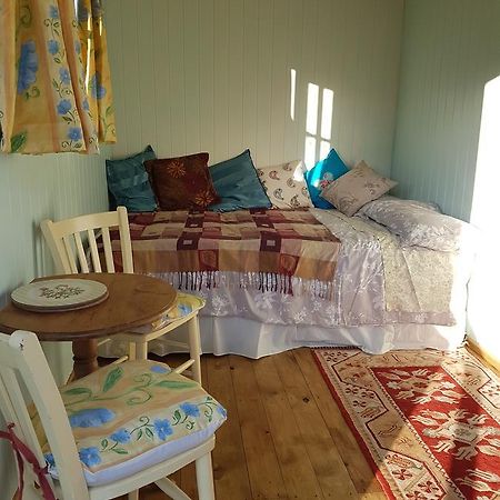 Shepherds Hut Dolly Wagon Keswick  Buitenkant foto