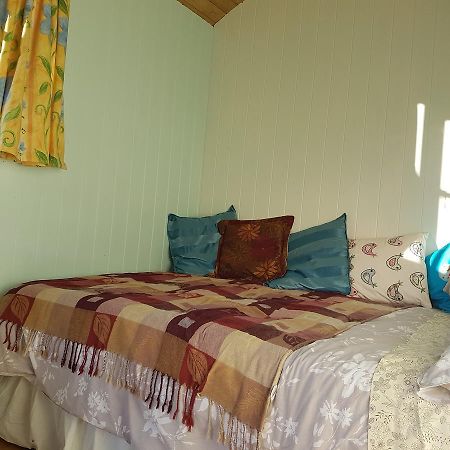 Shepherds Hut Dolly Wagon Keswick  Buitenkant foto