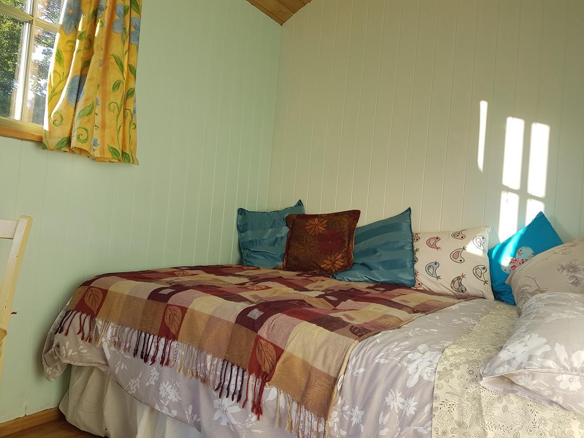 Shepherds Hut Dolly Wagon Keswick  Buitenkant foto
